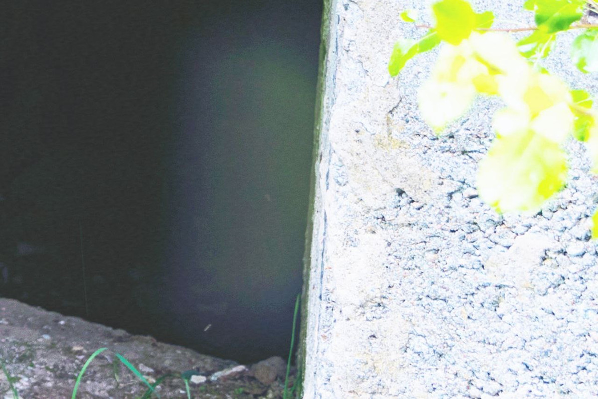 39DD1146-227E-4916-9F86-4D772FBD4FF7