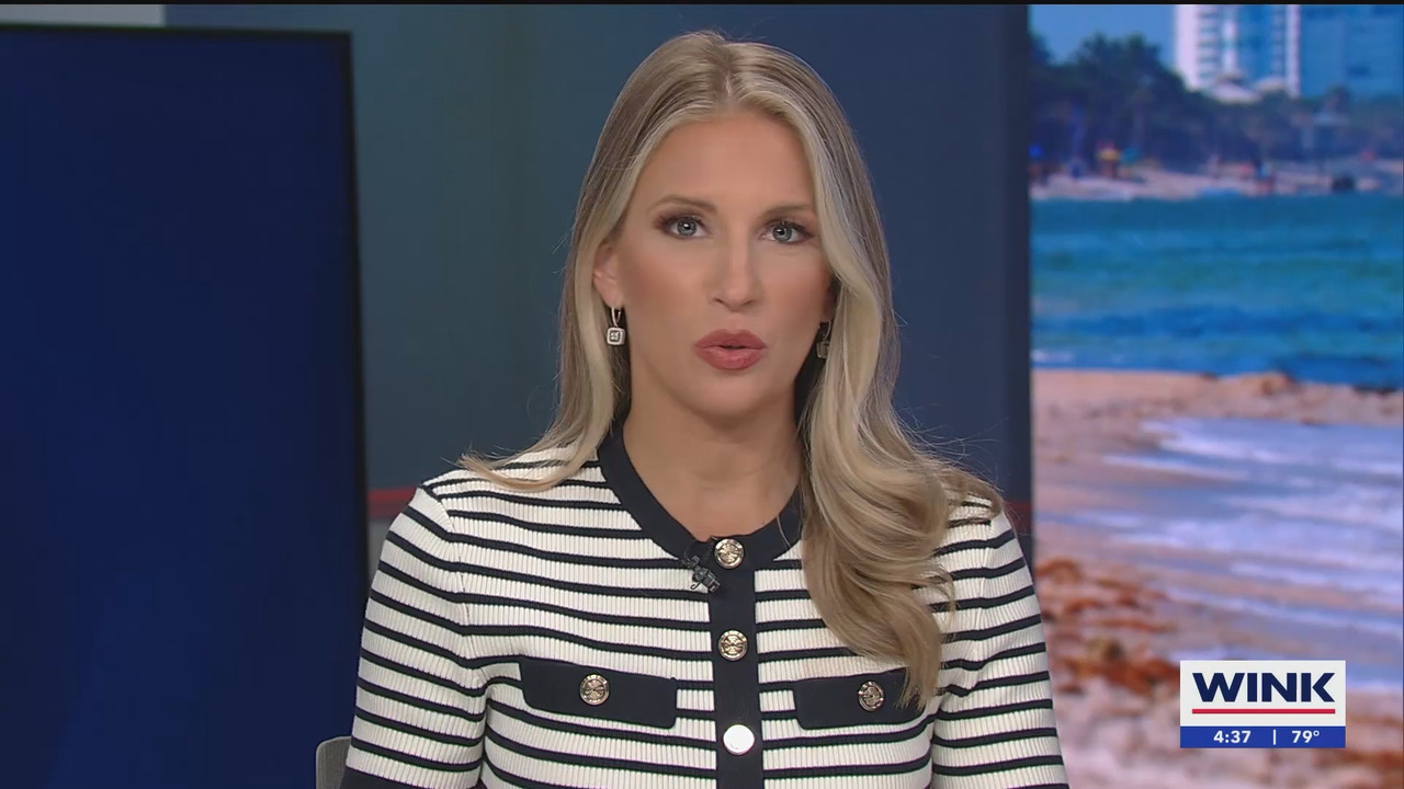 03.19 - 20.00.00 - WINK News at 4pm  ᴺᵉʷ. Local and regional news..ts_snapshot_00.38.51.882