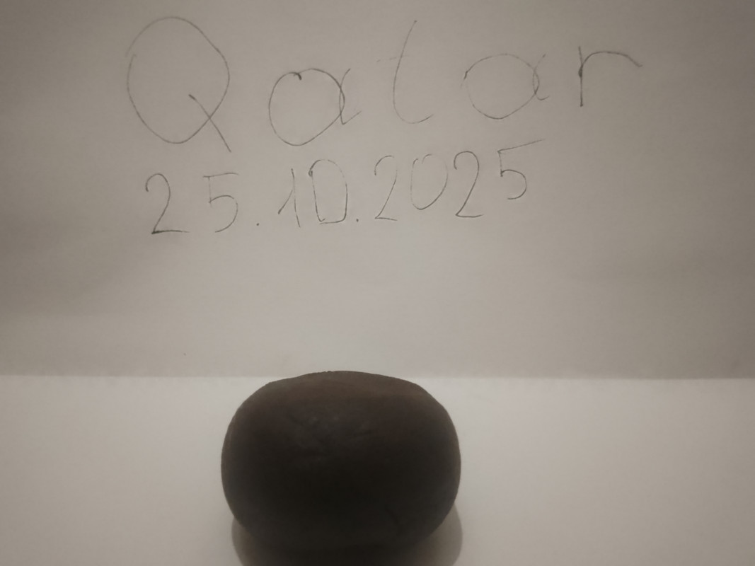 IMG 20251025 132649 994