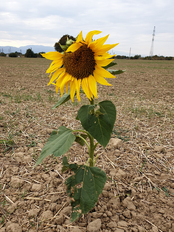 20181012_153655