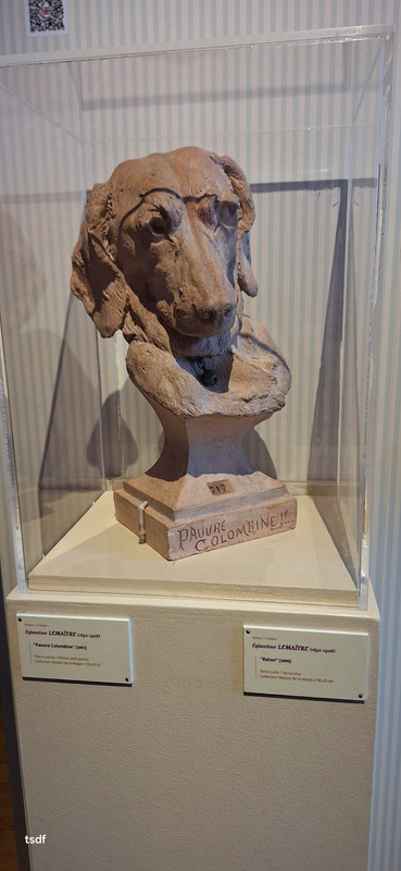 [Image: 20250706-162959.jpg]