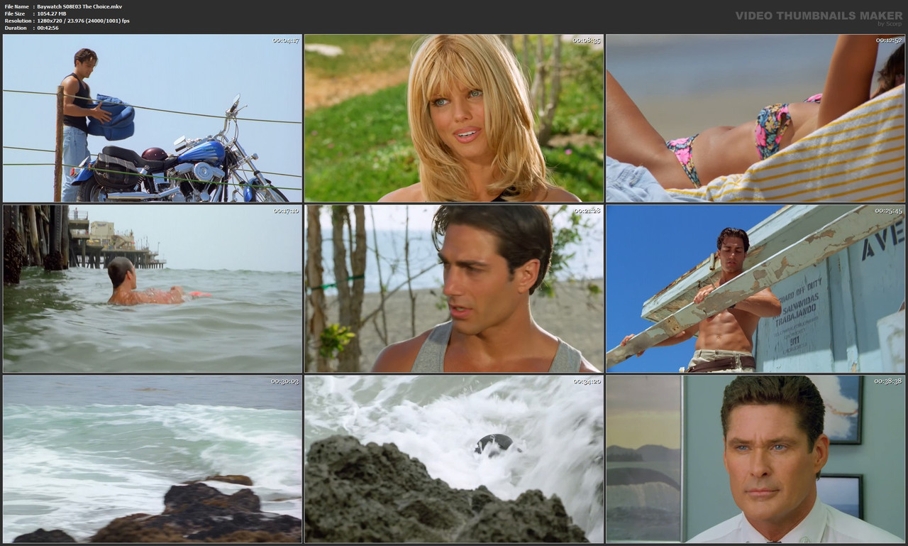 Baywatch S08E03 The Choice.mkv