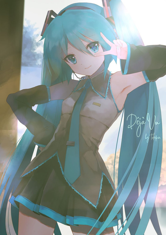 hatsune-miku-vocaloid-drawn-by-takepon1123-1c35d29ba985306257c9ae015bf7e35b-1