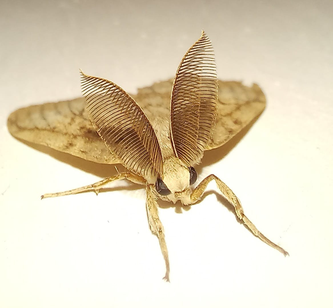 Immagine Whats App 2024 04 07 ore 17 23 50 bdb95992