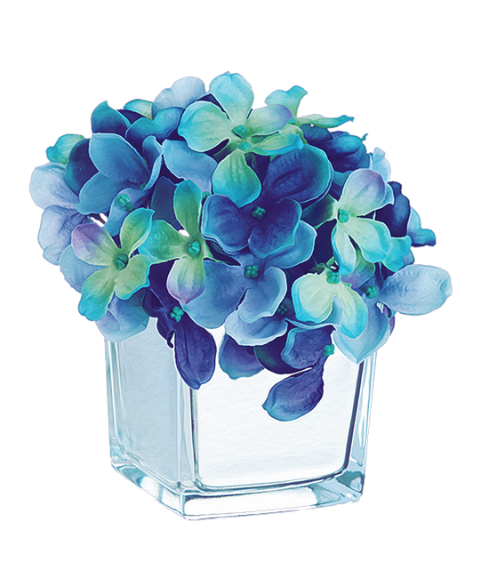 PeacockDreams_MM_Element (1)