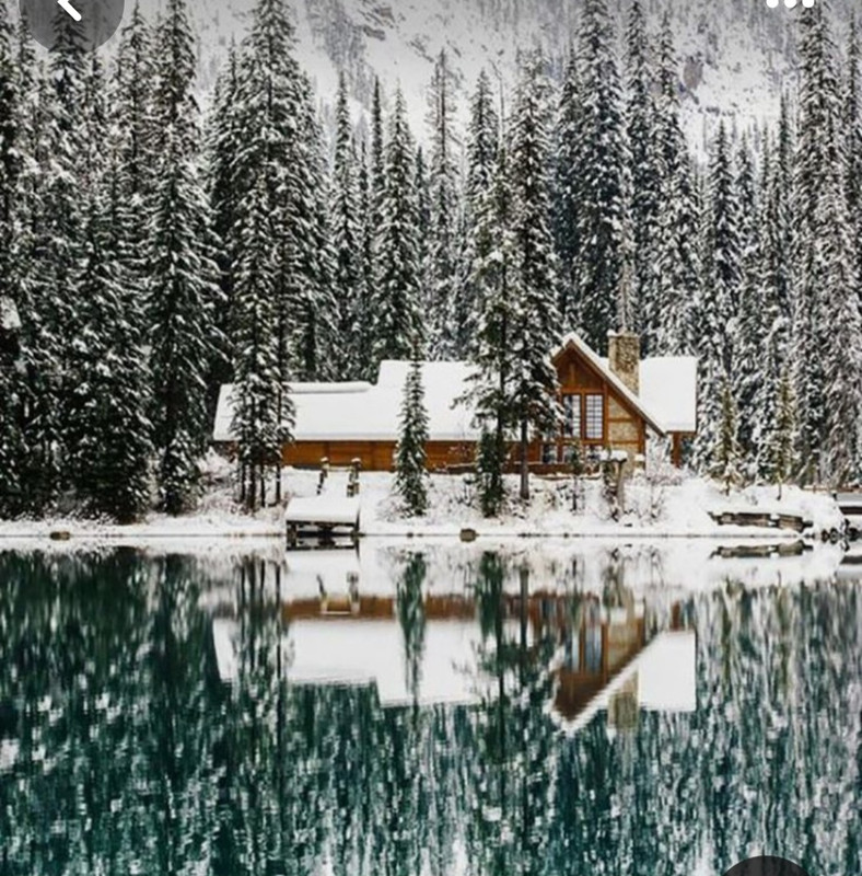 Screenshot_20231223_220603_Pinterest