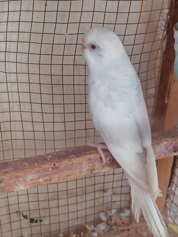 IMG_٢٠١٩١٢٣١_١٢٠٧٣٧