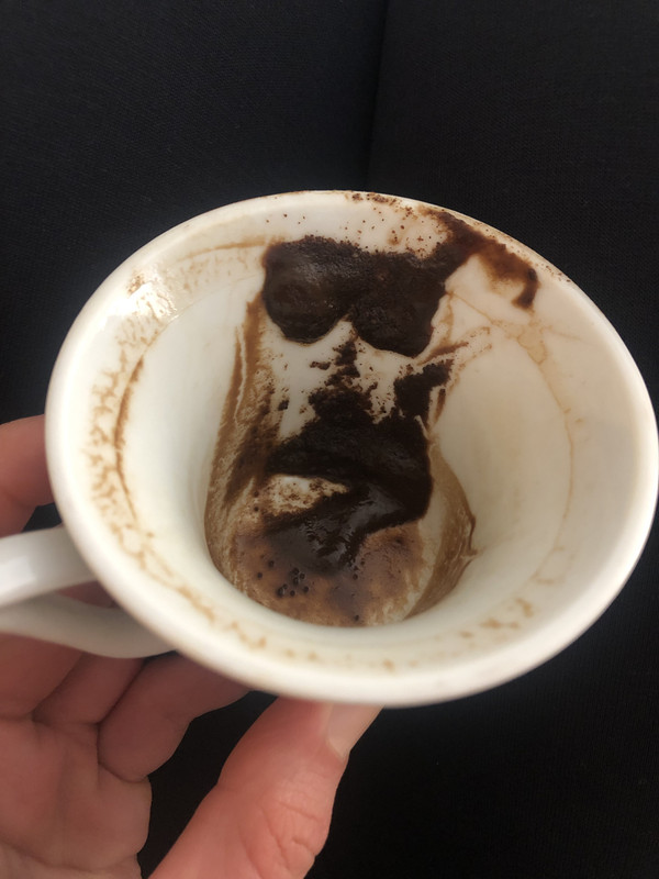 00CDD797-58A9-432A-AF49-4E4BE132C55F