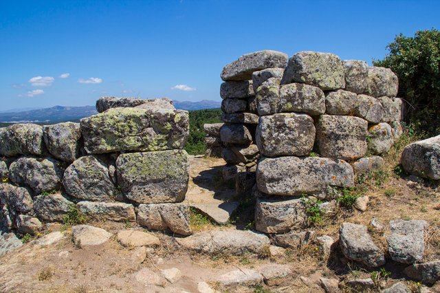 WhatsApp Image 2020-07-09 at 17.53.36 (3)