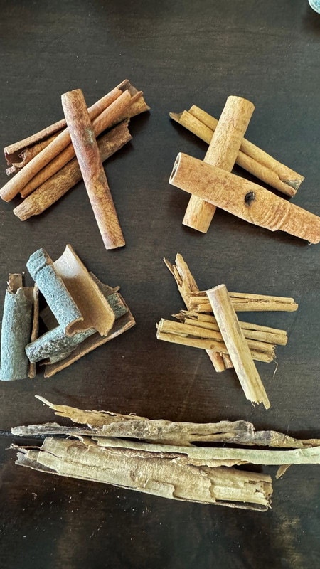 WhatsApp Image 2025-08-28 at 11.42.24 (1)