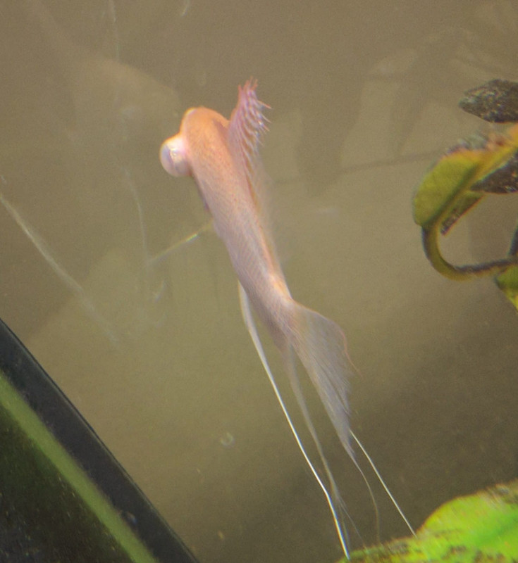 WhatsApp Image 2017-02-19 at 14.28.52 (2)