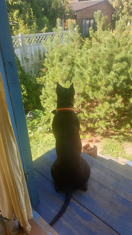 D0EA6166-552D-42CA-89CA-F73B6BCC9894