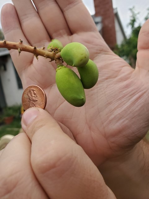 A4AF513D-A6F0-4A82-84FF-6F779B9F4D7E