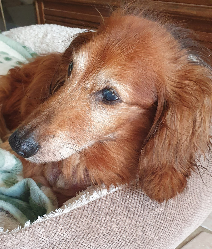 [Image: 20230806-103412.jpg]