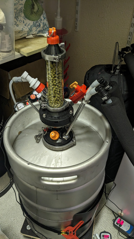 PXL_20240407_103500005