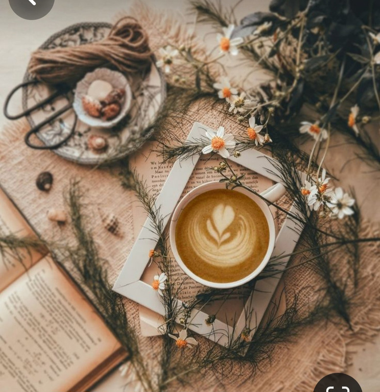 Screenshot_20230909_003751_Pinterest