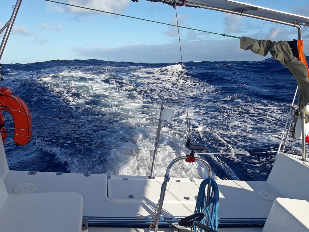 [Imagen: 20200209-174647.jpg]