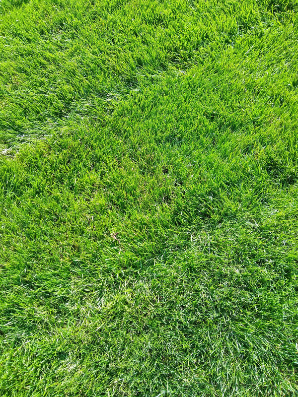 IMG_20181017_134909477_HDR