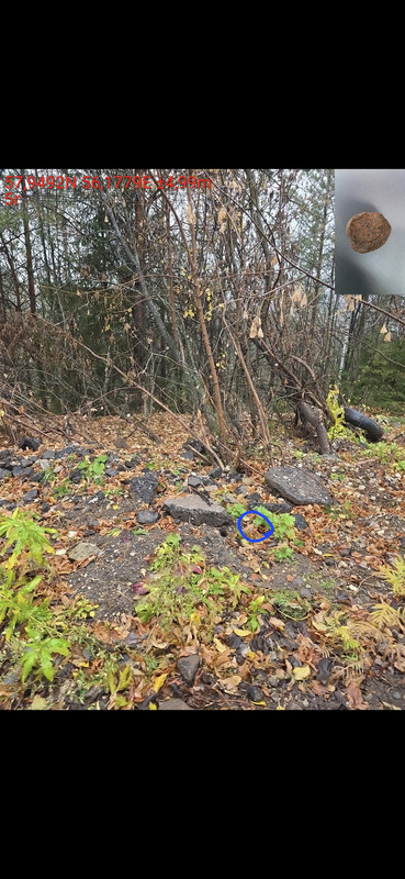 Screenshot_20251018_183135_Gallery