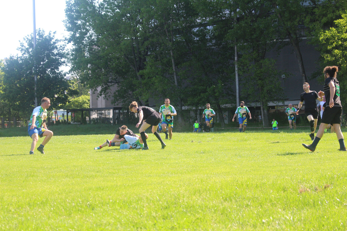 IMG-0428