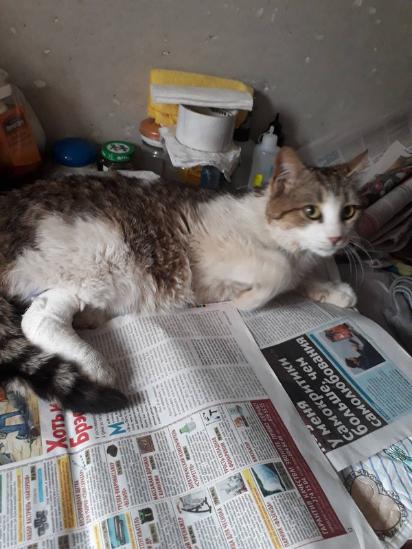 E251192A-1FB4-4CFA-BA66-829A00EAC9B9