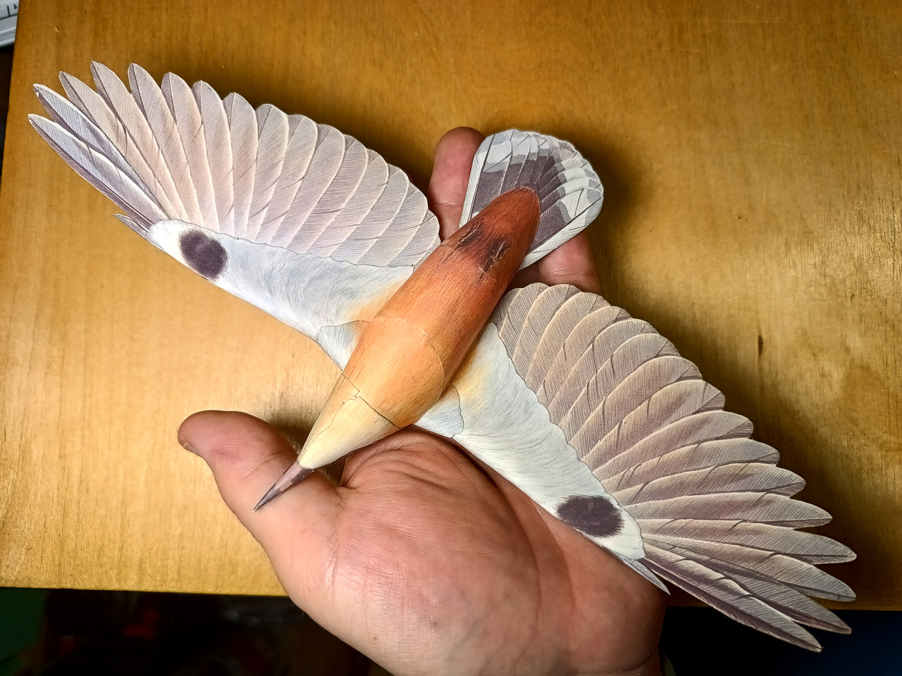 IMG 20260621 211031184 HDR