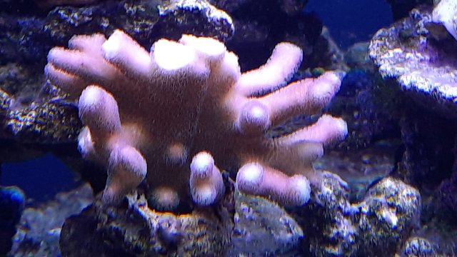 WhatsApp Image 2021-02-19 at 12.49.28 (1)