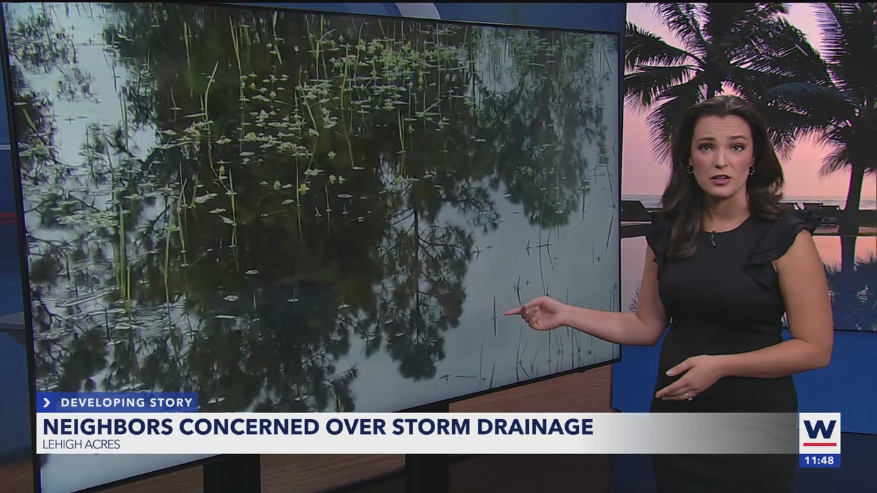 WINK NEWS at 1130am_20250907_16301700.ts_snapshot_19.43.666