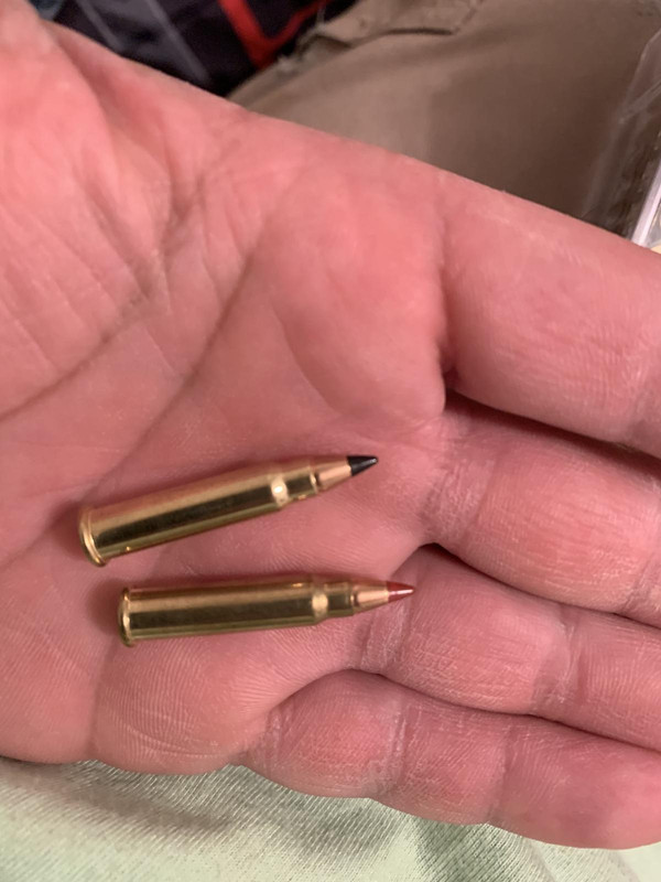 5323F61D-E7F6-4AB7-B277-572F98E405F4