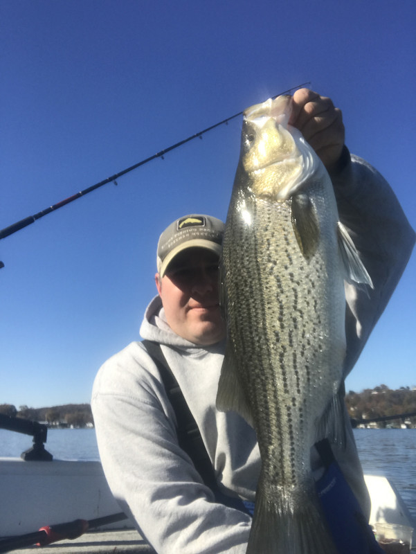 C4C54319-61FB-4B46-B39D-D605E9347FCB