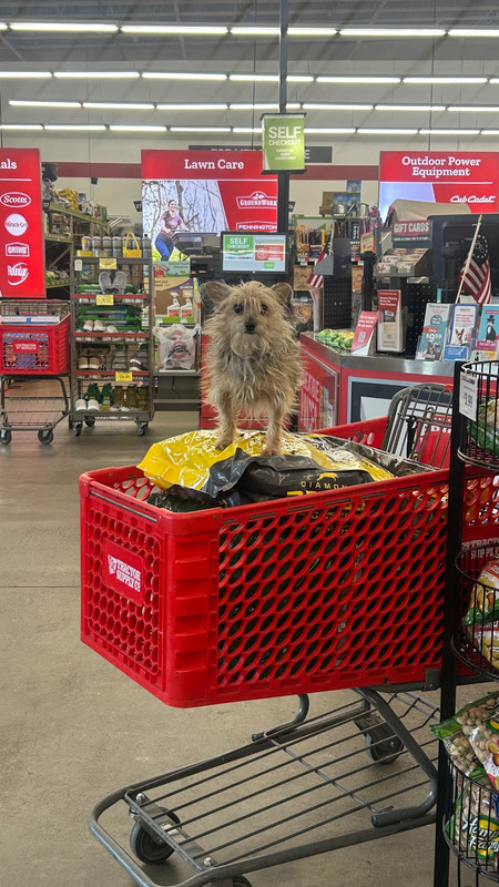 Dog-Mine-5d8f36001788e055f387579386207ad4-dd16f50a-2048.jpg