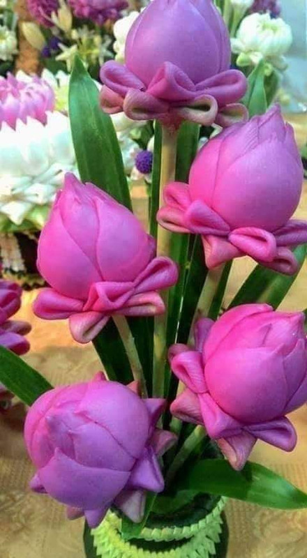 magentapetals.jpg