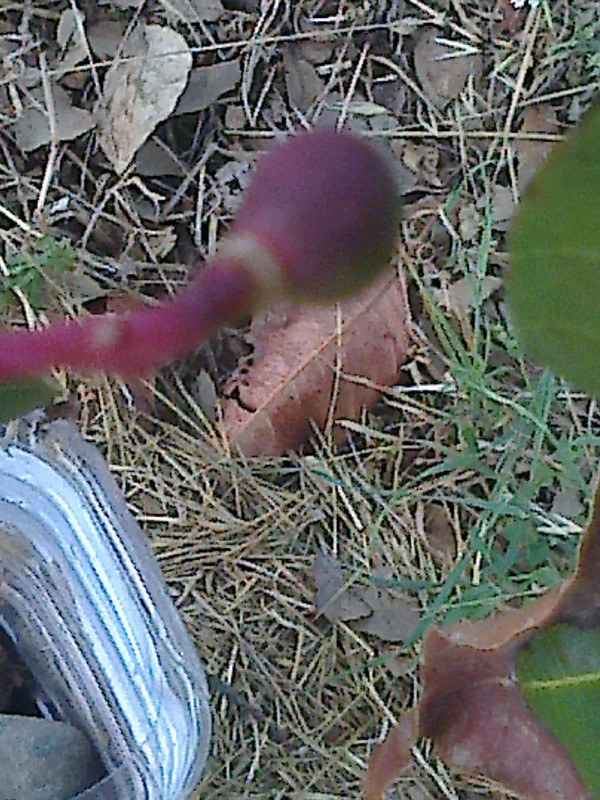 foto0102