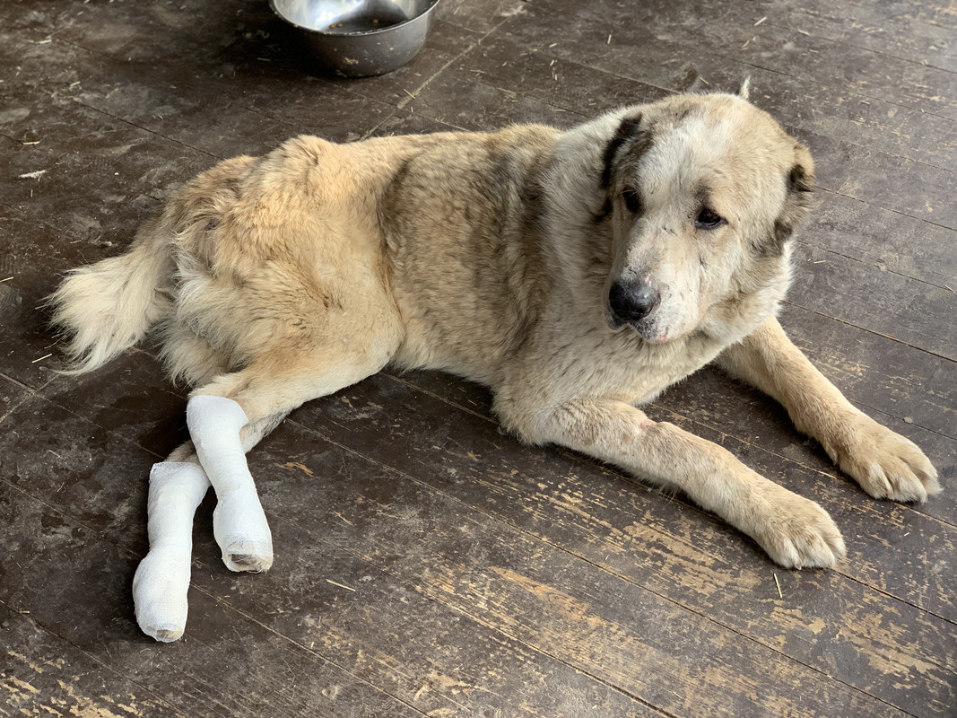 173955A3-727F-467A-A46E-9058128D7E48