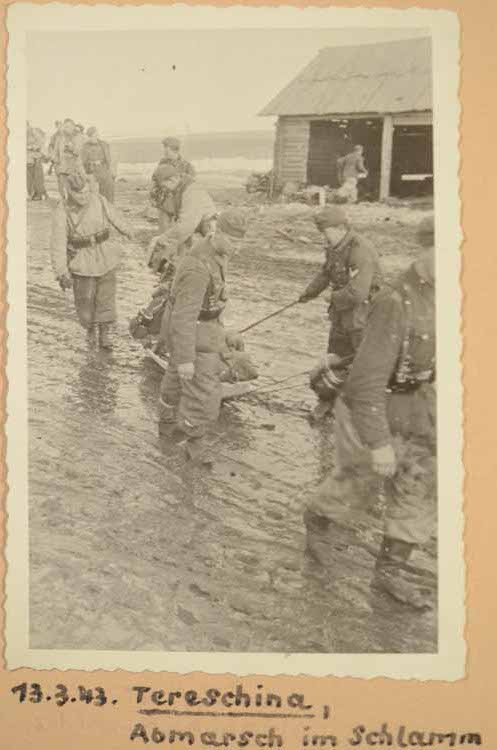 DSC_0792 терешино