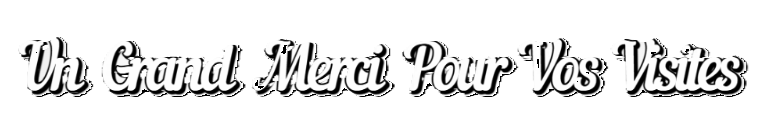 Un-Grand-Merci-VOS-VISITES-TEXTE2