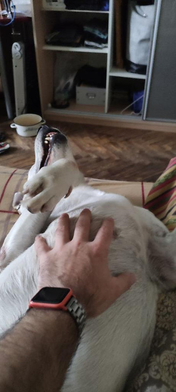 417BD858-8106-42FF-B934-08F80697552F