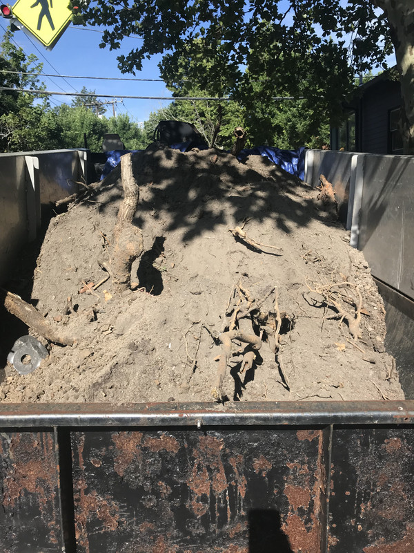 D0C65466-829B-456E-B84F-F4B4D8B32413