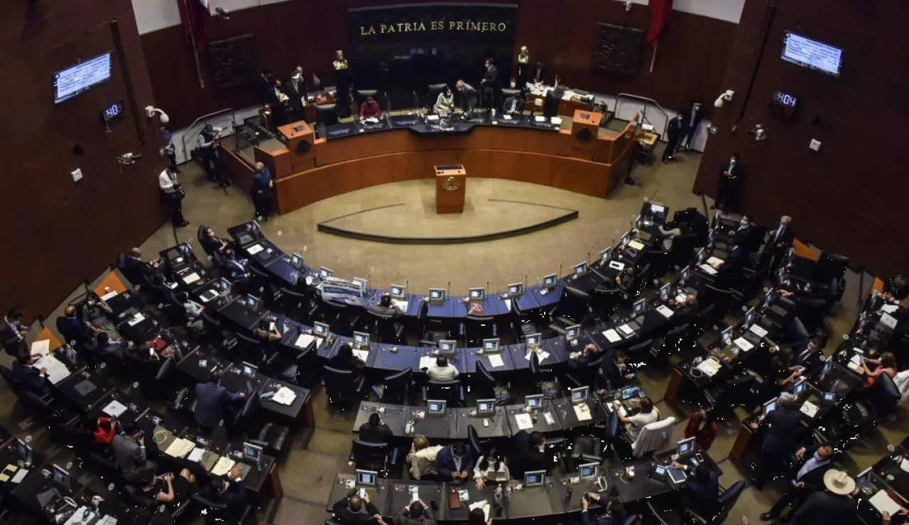 Hay tres senadoras de Morena que aspiran a presidir el Senado; se elegirá en la plenaria