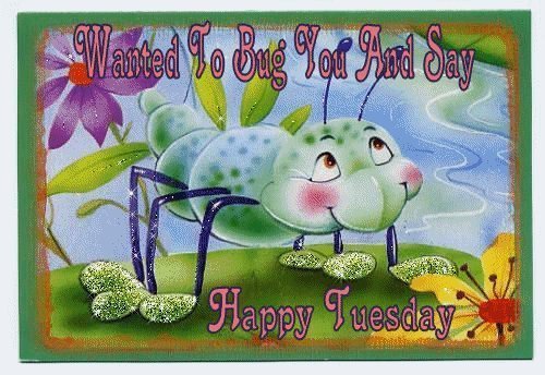 Tuesday_Buggy