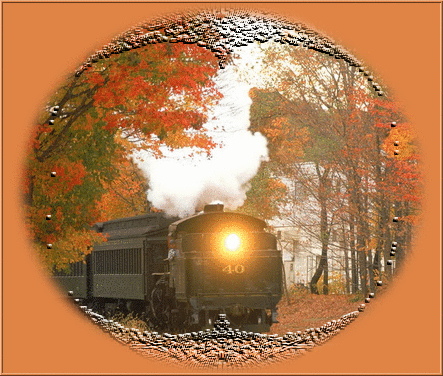 5889-20101029-087570.gif