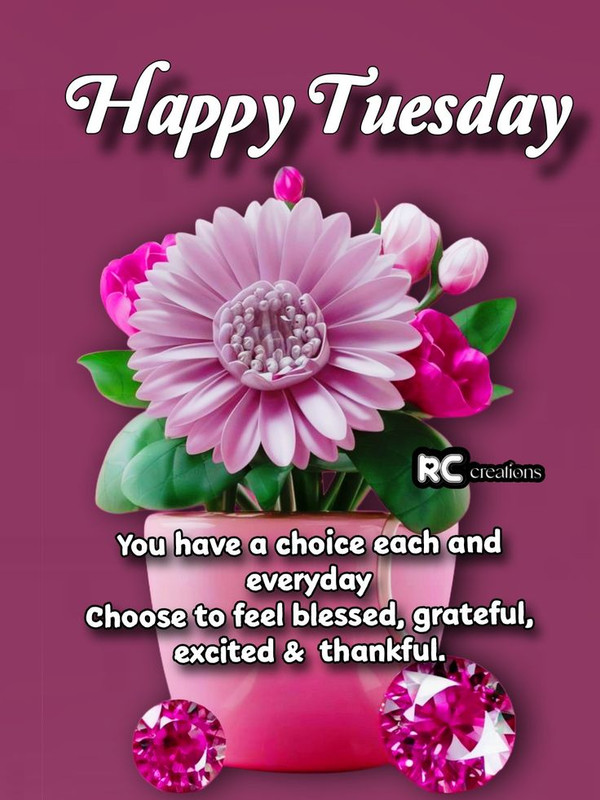 Happy-Tuesday.jpg