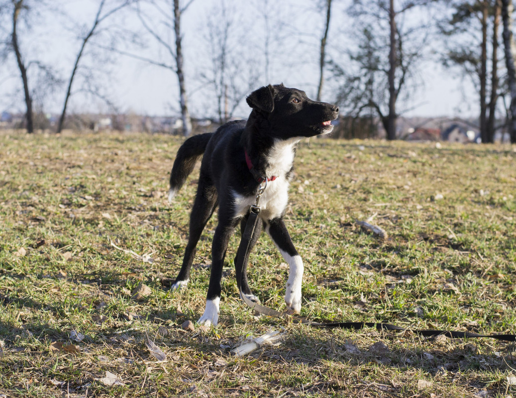 Дакота_06_18_8