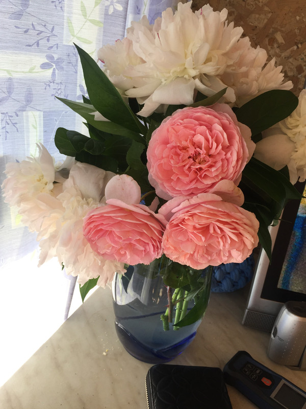 FFE8ED93-8EAD-42A7-9E57-44FE53C27CF8