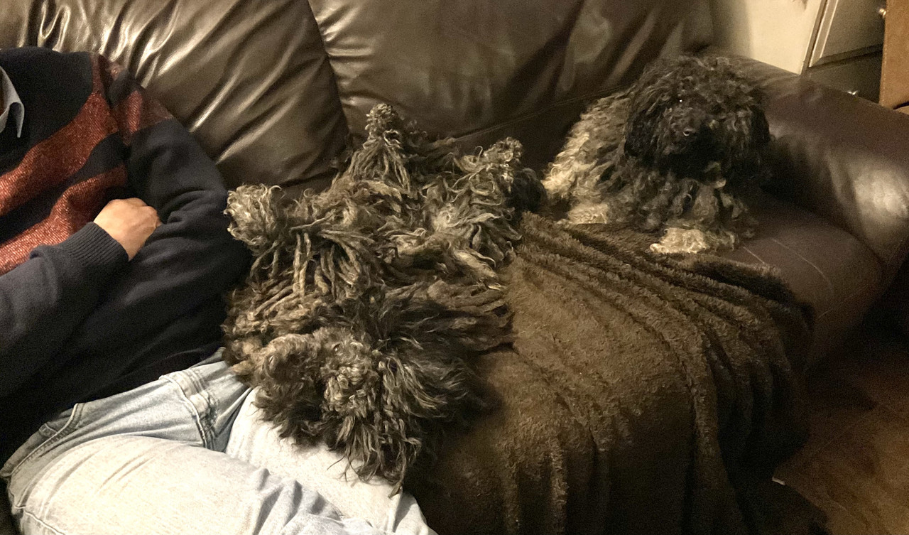 E764BC1F-D604-4887-95A2-2EFBF483525E