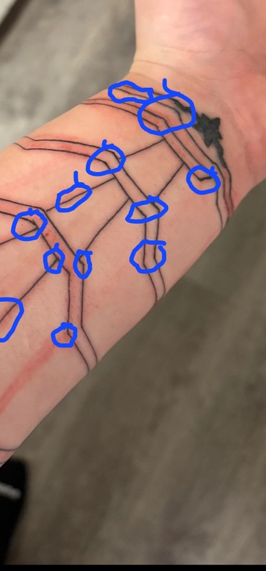 Screenshot 20251212 224931 Photos