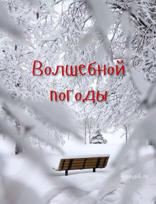 Screenshot-20221208-095924-com-viber-voi