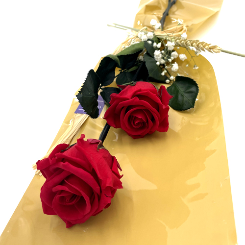 Dos Rosas Rojas Preservadas