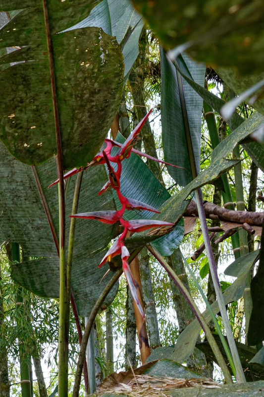 448528469_10232374642211489_123905954219280163_n