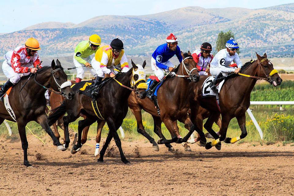 celebrita piace giocare bookmaker scommettere online